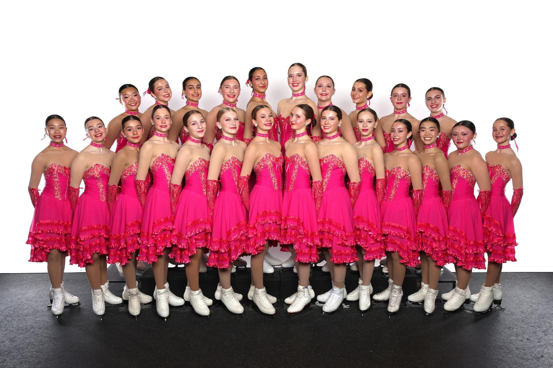 optimized-teams-elite-novice